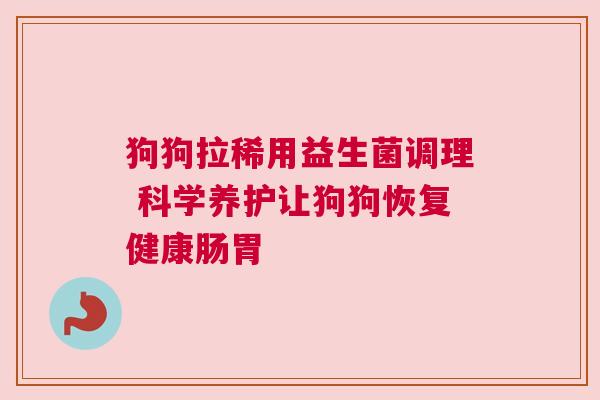 狗狗拉稀用益生菌调理 科学养护让狗狗恢复健康肠胃