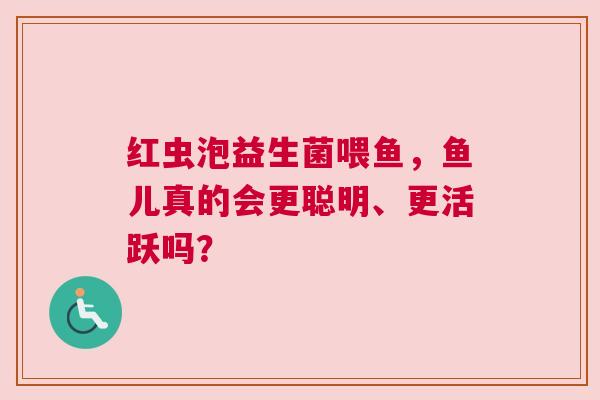 红虫泡益生菌喂鱼，鱼儿真的会更聪明、更活跃吗？