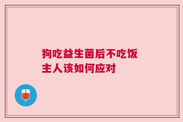 狗吃益生菌后不吃饭 主人该如何应对