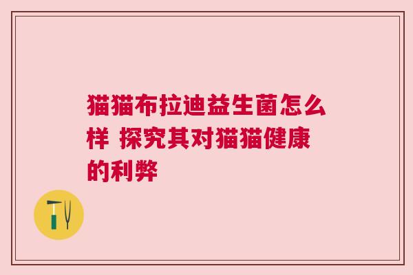 猫猫布拉迪益生菌怎么样 探究其对猫猫健康的利弊