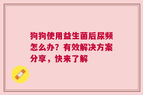 狗狗使用益生菌后尿频怎么办？有效解决方案分享，快来了解