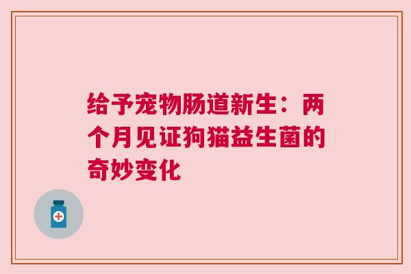 给予宠物肠道新生：两个月见证狗猫益生菌的奇妙变化