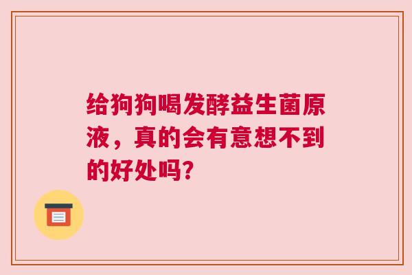 给狗狗喝发酵益生菌原液，真的会有意想不到的好处吗？