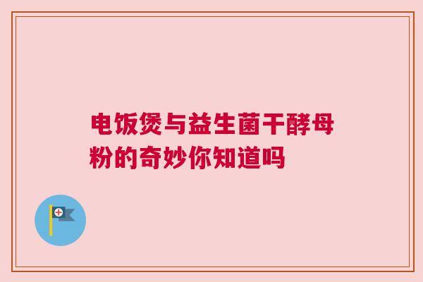 电饭煲与益生菌干酵母粉的奇妙你知道吗