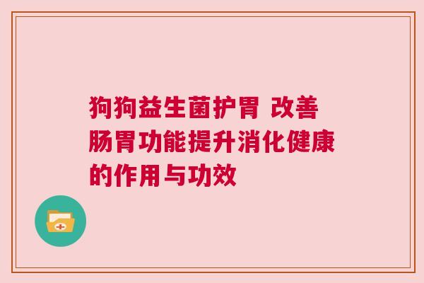狗狗益生菌护胃 改善肠胃功能提升消化健康的作用与功效