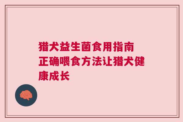 猎犬益生菌食用指南 正确喂食方法让猎犬健康成长