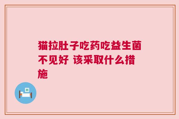 猫拉肚子吃药吃益生菌不见好 该采取什么措施