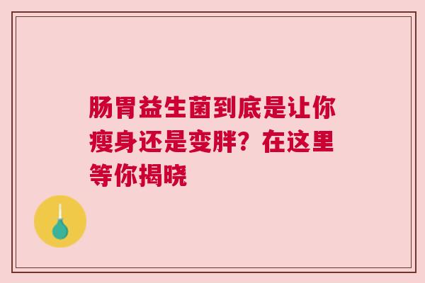 肠胃益生菌到底是让你瘦身还是变胖？在这里等你揭晓