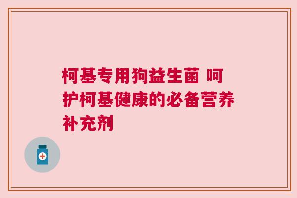 柯基专用狗益生菌 呵护柯基健康的必备营养补充剂