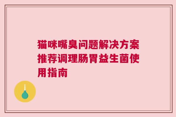 猫咪嘴臭问题解决方案推荐调理肠胃益生菌使用指南