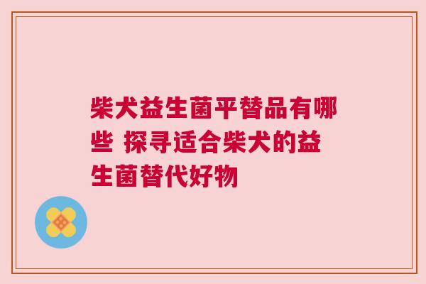 柴犬益生菌平替品有哪些 探寻适合柴犬的益生菌替代好物