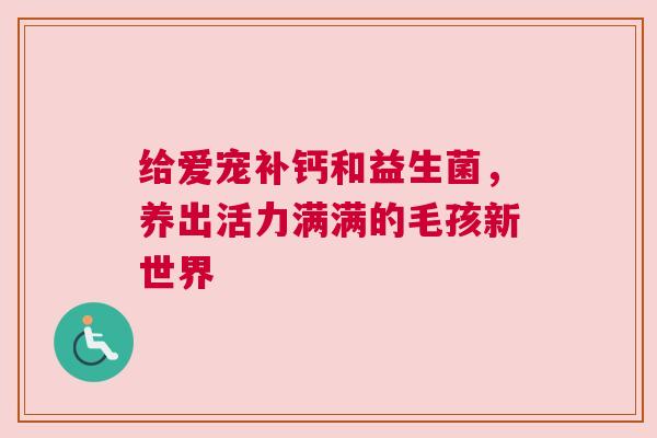 给爱宠补钙和益生菌，养出活力满满的毛孩新世界