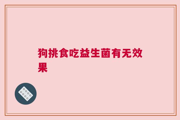 狗挑食吃益生菌有无效果