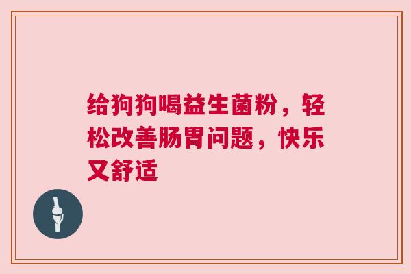 给狗狗喝益生菌粉，轻松改善肠胃问题，快乐又舒适