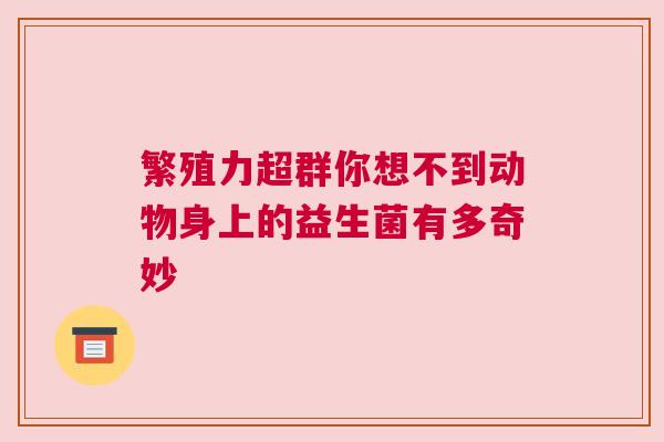 繁殖力超群你想不到动物身上的益生菌有多奇妙