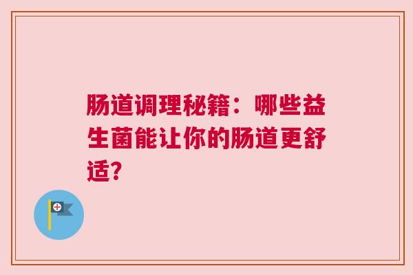 肠道调理秘籍：哪些益生菌能让你的肠道更舒适？