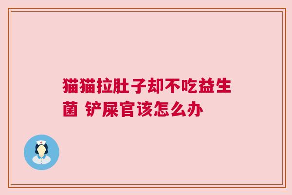 猫猫拉肚子却不吃益生菌 铲屎官该怎么办