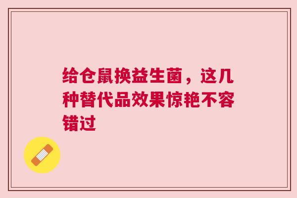 给仓鼠换益生菌，这几种替代品效果惊艳不容错过