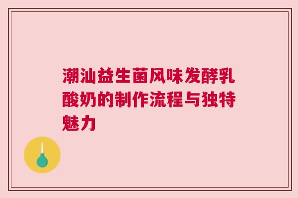 潮汕益生菌风味发酵乳酸奶的制作流程与独特魅力