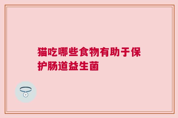 猫吃哪些食物有助于保护肠道益生菌
