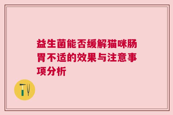 益生菌能否缓解猫咪肠胃不适的效果与注意事项分析