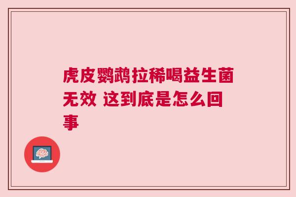虎皮鹦鹉拉稀喝益生菌无效 这到底是怎么回事