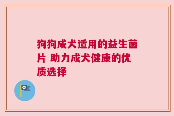 狗狗成犬适用的益生菌片 助力成犬健康的优质选择