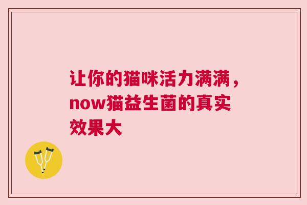 让你的猫咪活力满满，now猫益生菌的真实效果大