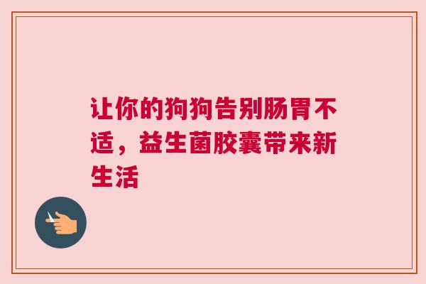让你的狗狗告别肠胃不适，益生菌胶囊带来新生活