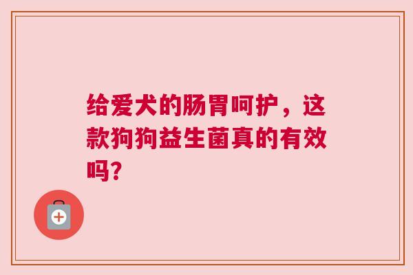 给爱犬的肠胃呵护，这款狗狗益生菌真的有效吗？