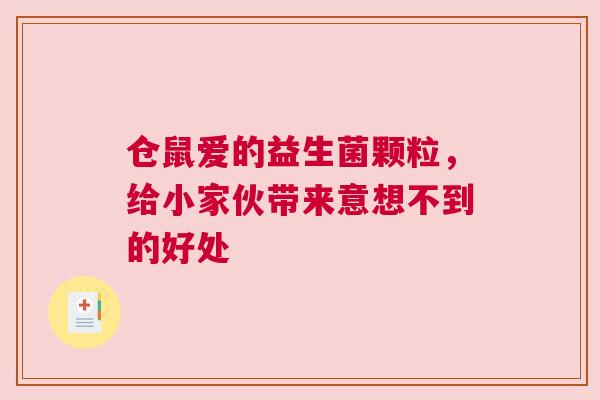 仓鼠爱的益生菌颗粒，给小家伙带来意想不到的好处