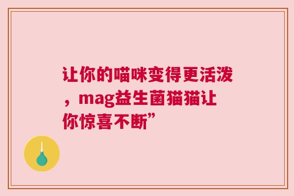 让你的喵咪变得更活泼，mag益生菌猫猫让你惊喜不断”