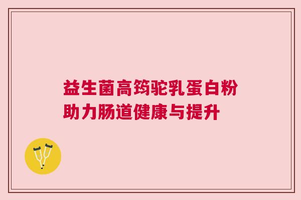 益生菌高筠驼乳蛋白粉助力肠道健康与提升