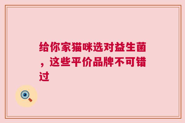 给你家猫咪选对益生菌，这些平价品牌不可错过