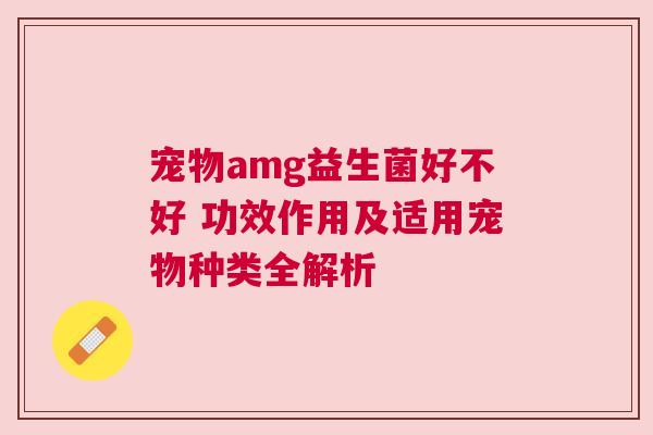 宠物amg益生菌好不好 功效作用及适用宠物种类全解析