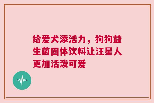 给爱犬添活力，狗狗益生菌固体饮料让汪星人更加活泼可爱