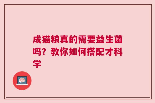 成猫粮真的需要益生菌吗？教你如何搭配才科学