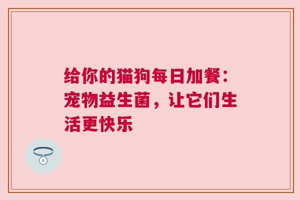 给你的猫狗每日加餐：宠物益生菌，让它们生活更快乐
