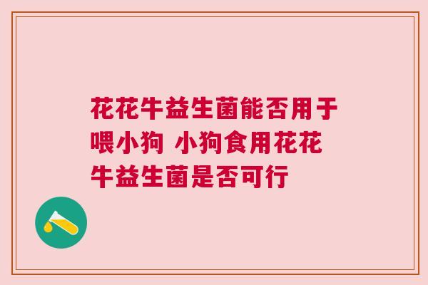 花花牛益生菌能否用于喂小狗 小狗食用花花牛益生菌是否可行